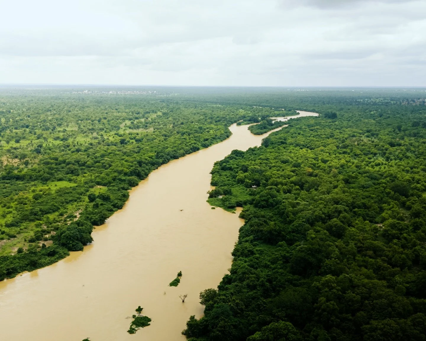 This was something special. Never in my wildest dreams did I think I&rsquo;d ever find myself in a dugout canoe, clinging onto tree branches to anchor against the current, with a bloat of hippos between us and Burkina Faso on the other side of the ri