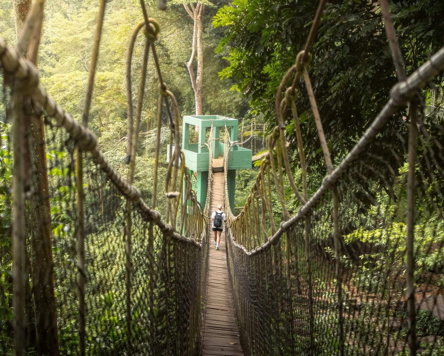 Unbeatable mornings in nature 🌿

Amedzofe is Ghana&rsquo;s highest elevated settlement and the canopy walkway is a hidden gem! Tucked away within the village, it&rsquo;s not the easiest to get to but it&rsquo;s worth it.

Get there early enough and 