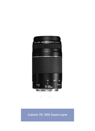 Canon EF 75-300mm f/4-5.6 III Telephoto Zoom Lens for Canon SLR Cameras