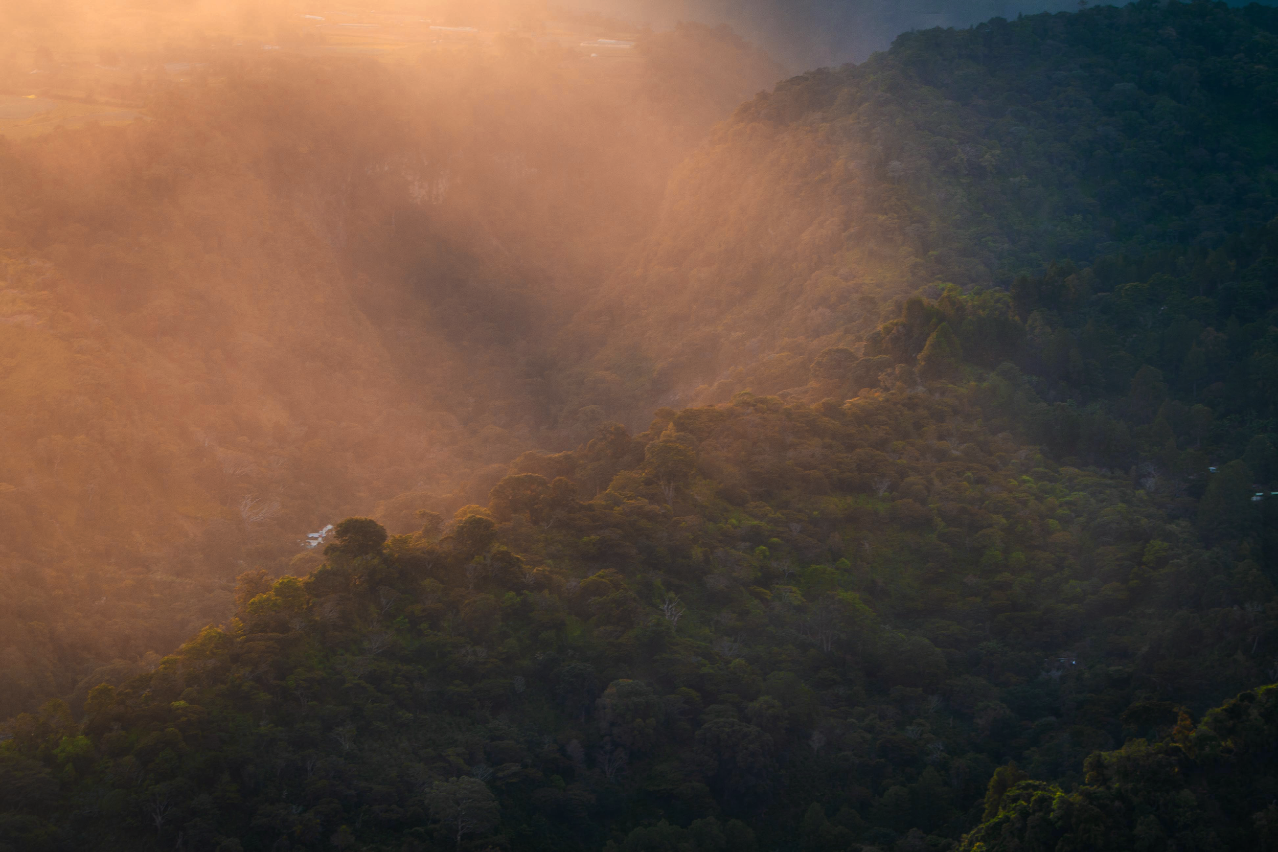 The Ultimate 3-day Itinerary in Boquete, Panama: Experience cloud forests, coffee, and more!