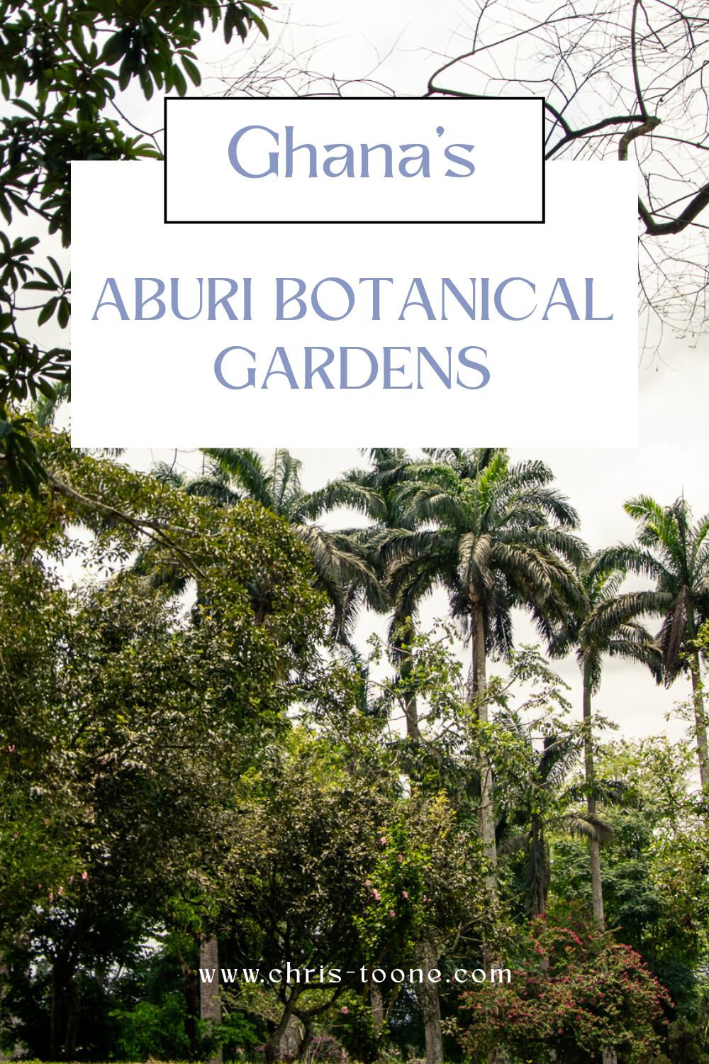 Ghana's Aburi Botanical Gardens: A top day trip from Accra