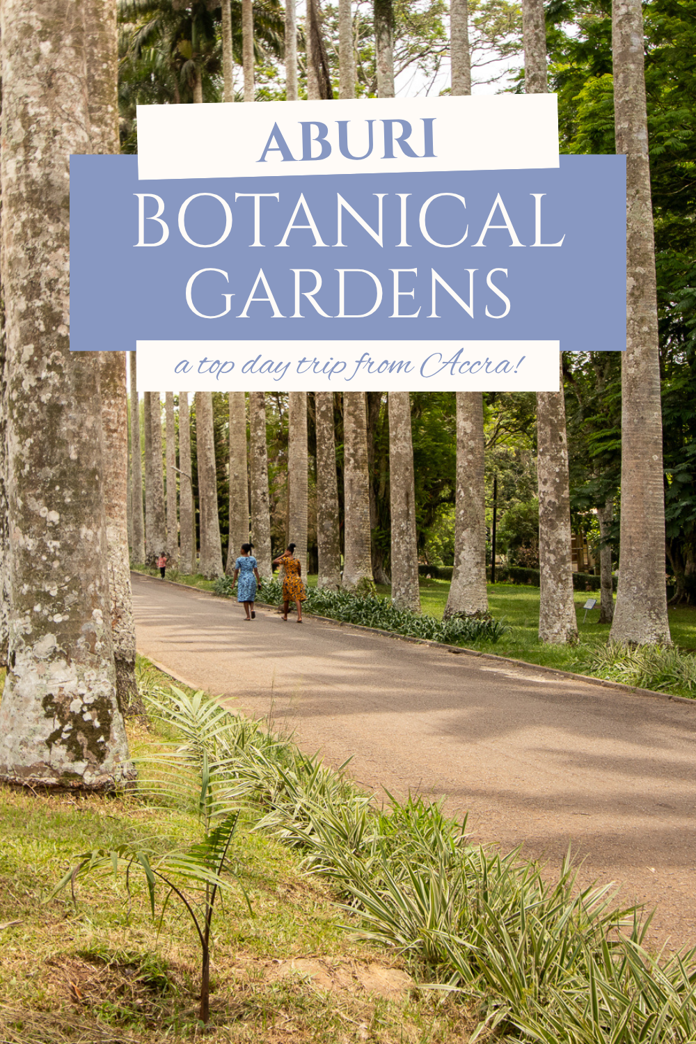 A Guide to Ghana's Aburi Botanical Gardens