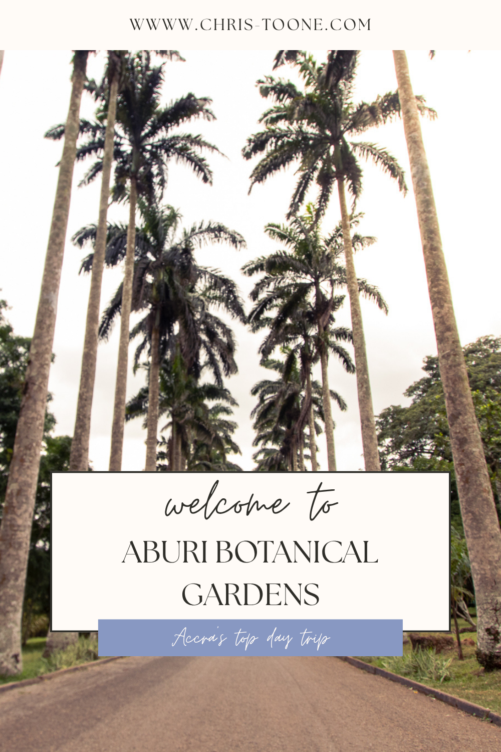 Ultimate Guide to Aburi Botanical Gardens in Ghana