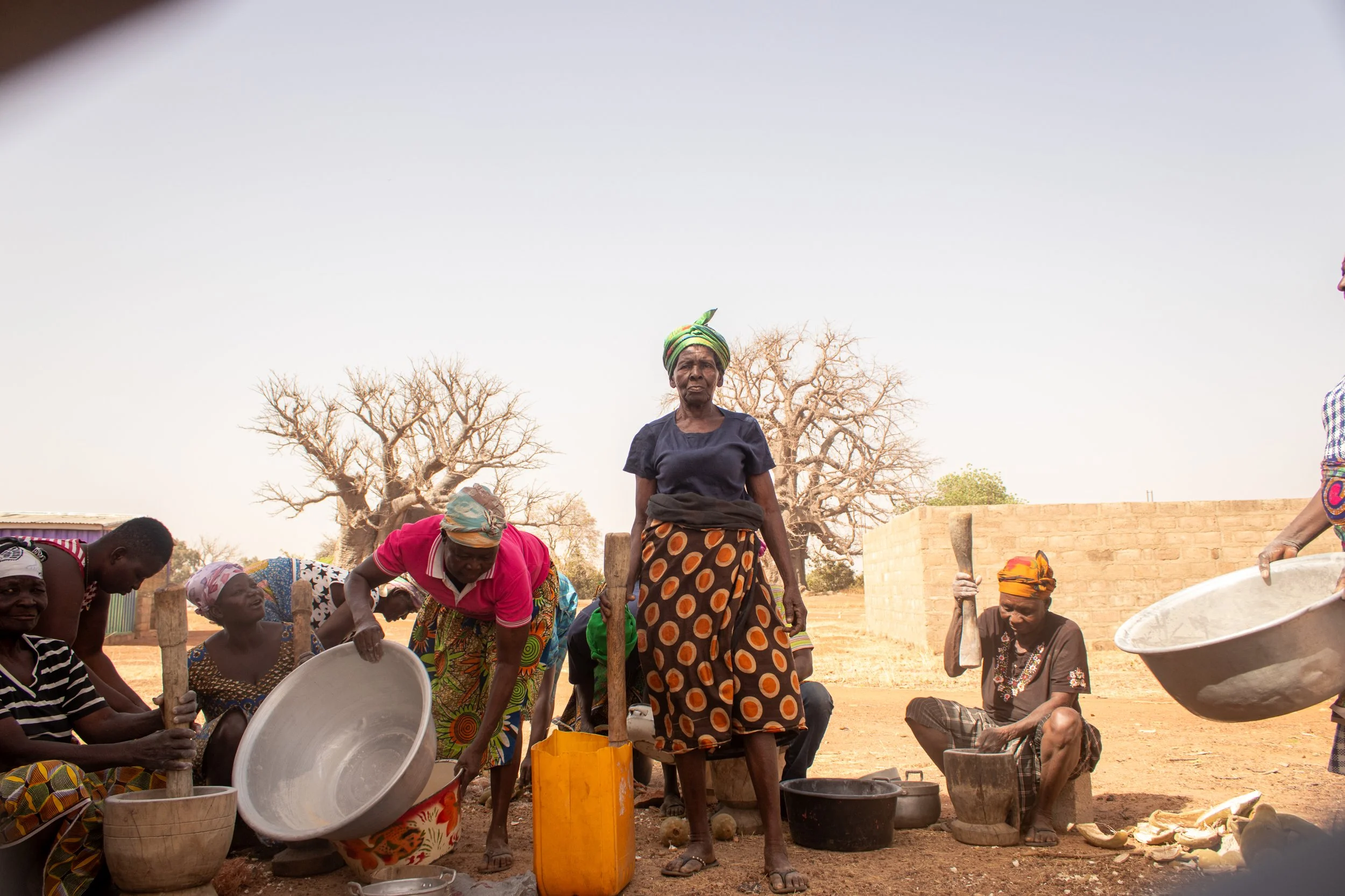 Women in Northern Ghana process baobab powder