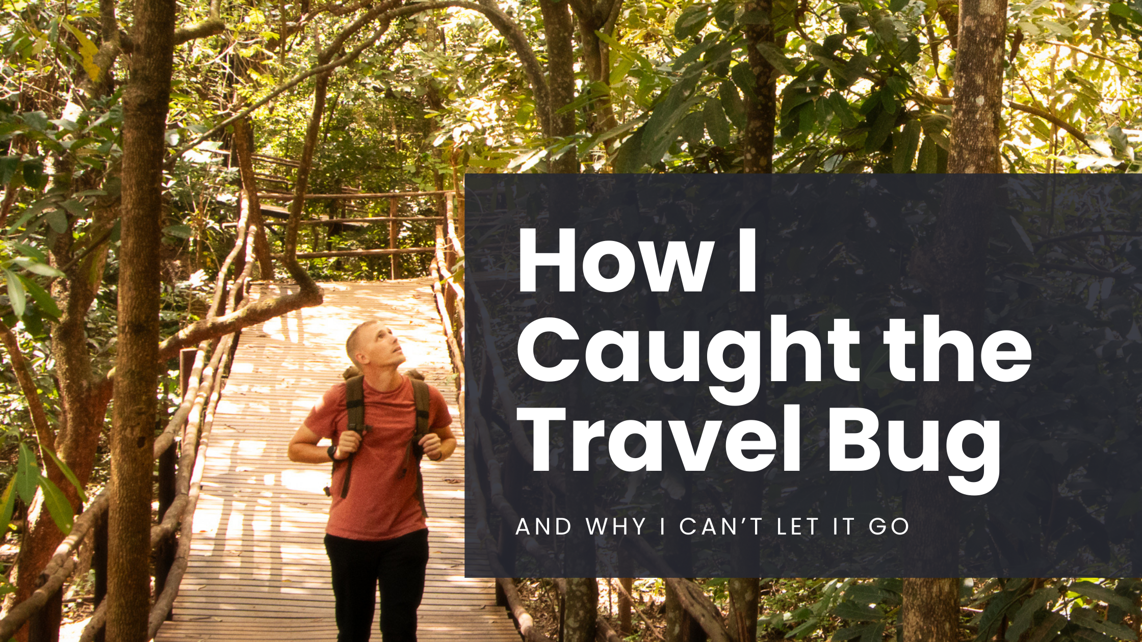 An individual walks along a footbridge through the forest in Lilongwe, Malawi