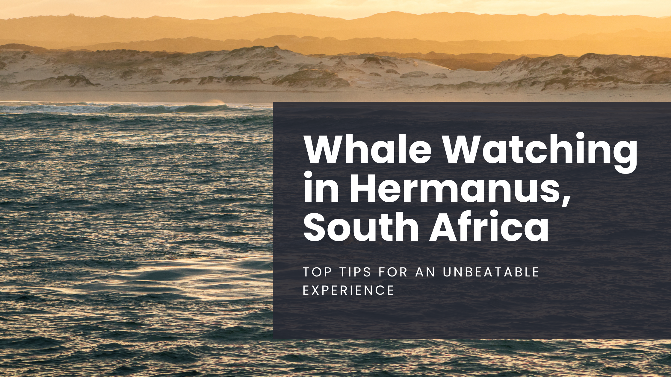 The sun rises above the mountains and paints the sky orange while illuminating Walker's Bay in Hermanus, South Africa