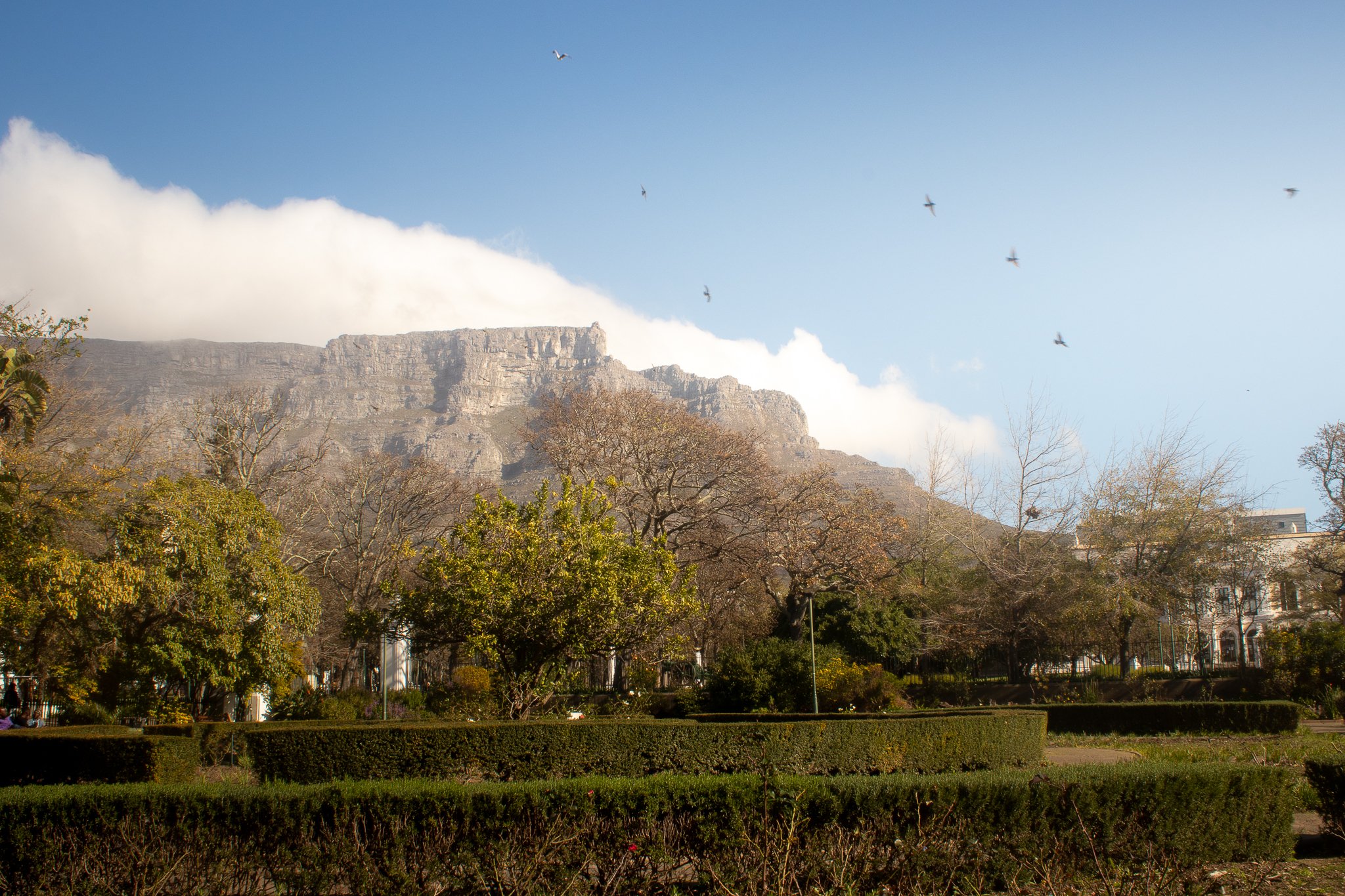Clouds come in over Table Mountain in Cape Town, South Africa, as seen from The Company's Rose Garden