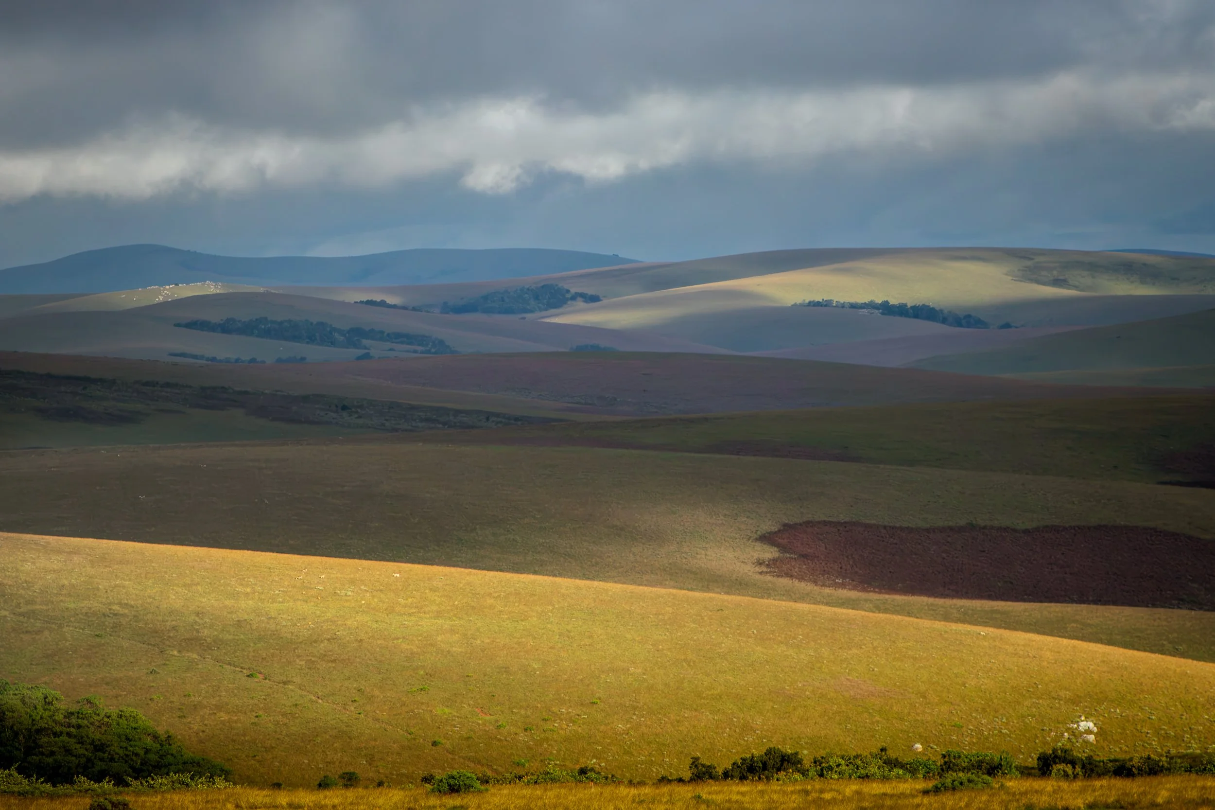 Layers of rolling hills inside Nyika National Park in Malawi, the pockets of light penetrating a cloudy sky