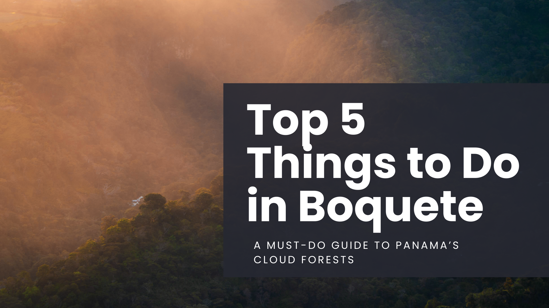 Misty clouds move through the jungle in Boquete, Panama with an orange glow from the sunset