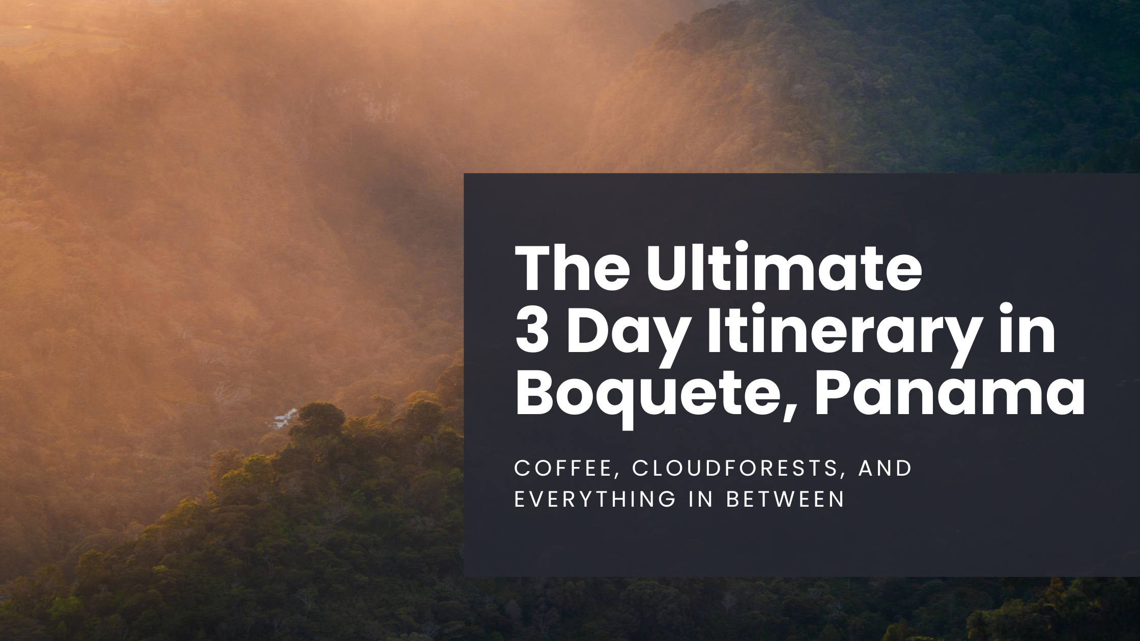 Clouds move through the jungle in Boquete, Panama