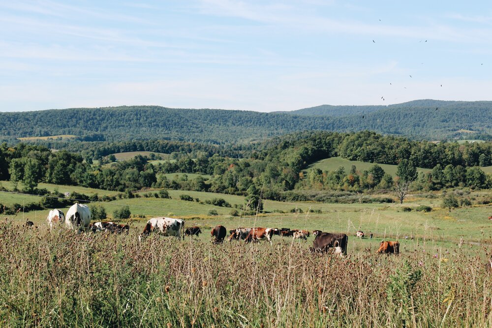 Breathtaking Views Throughout Sharon Springs