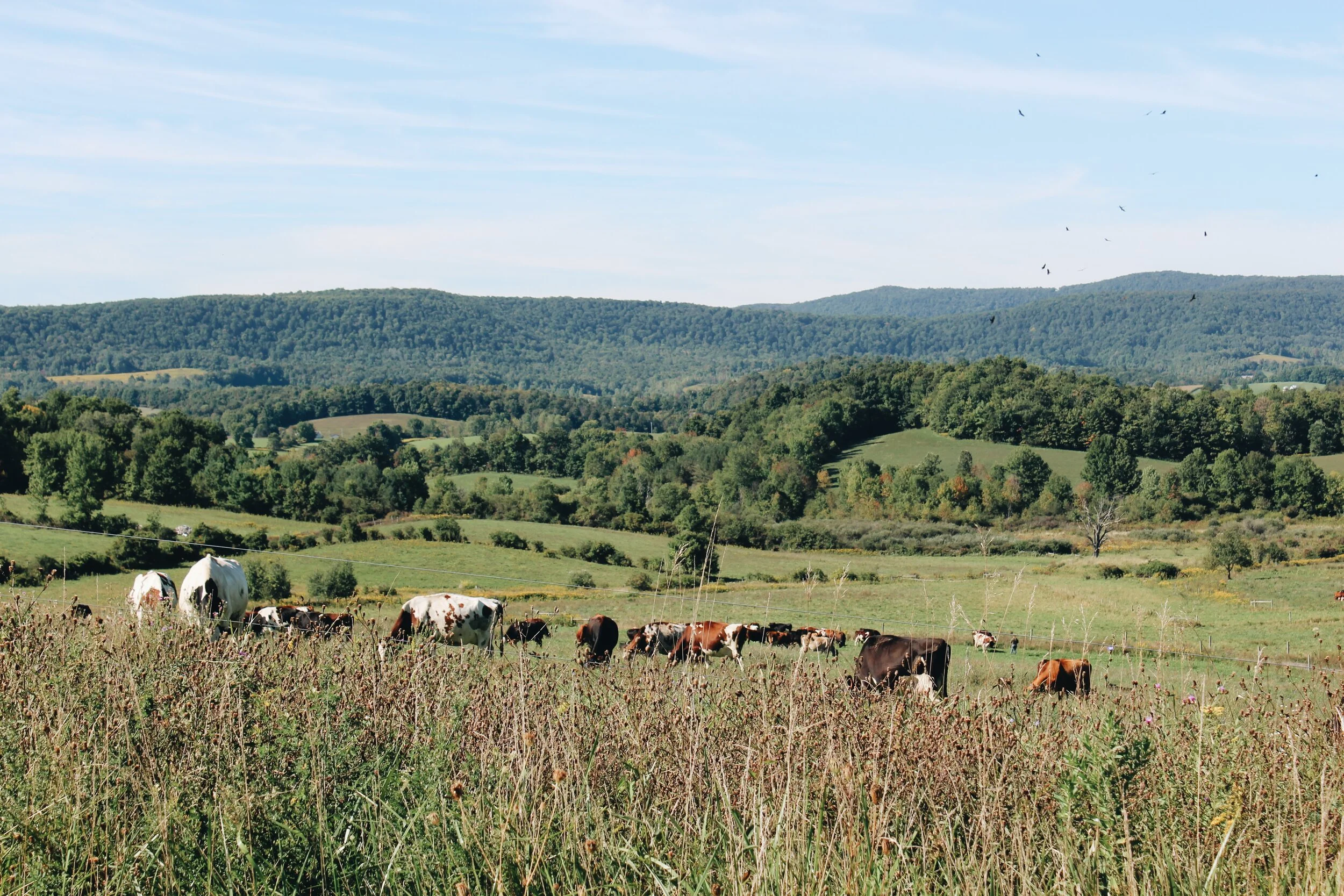 Explore the Beekman Farm &amp; Beyond