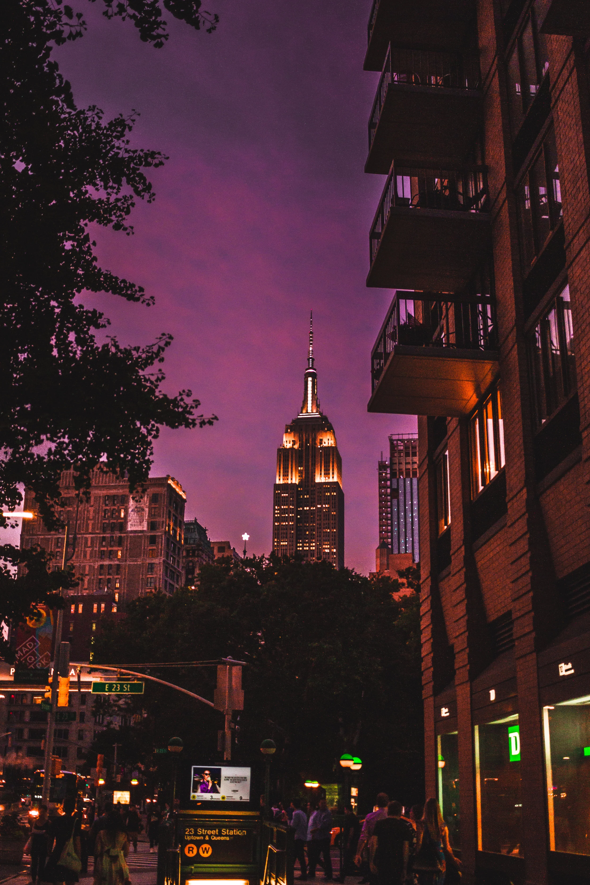Empire State Purple_.jpg