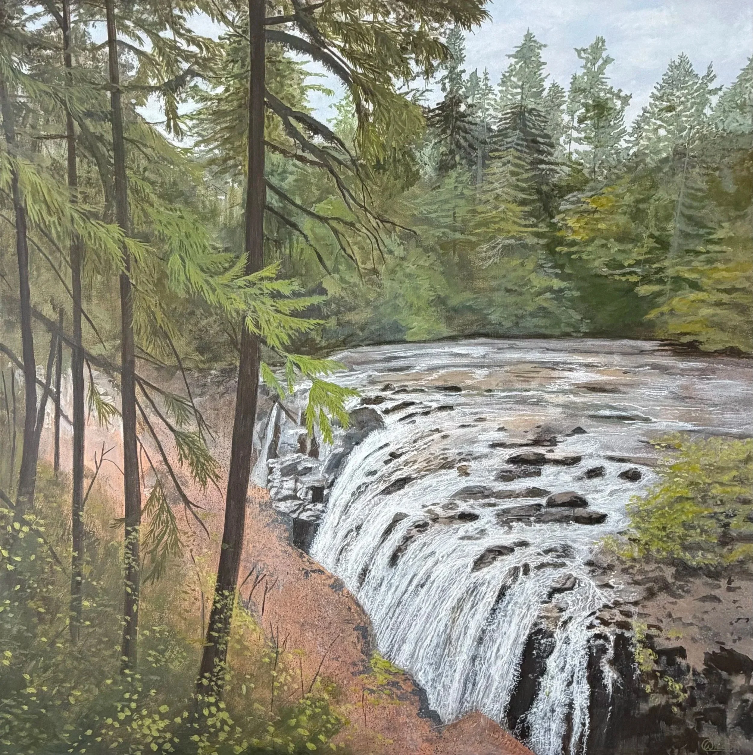 Englishman River Falls
