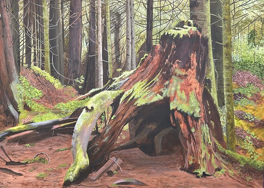 Lost in the Woods