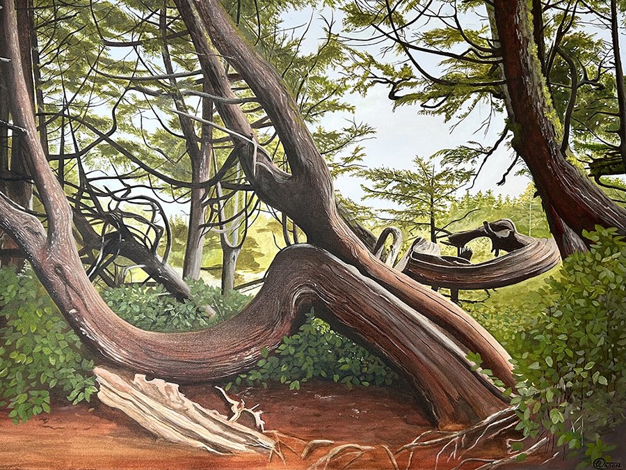 Ballet of the Trees