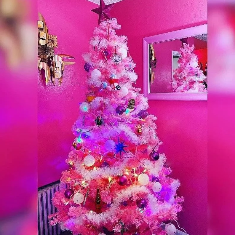 🎄 Have you put up your Christmas tree yet?