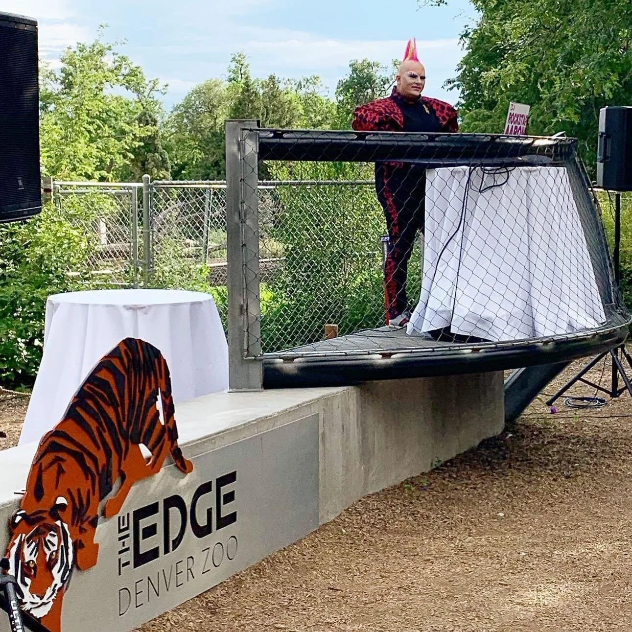 Happy National Zoo Lovers Day! Throwback from when I DJ&rsquo;ed at the @denverzoo for the Tigers. 🐯