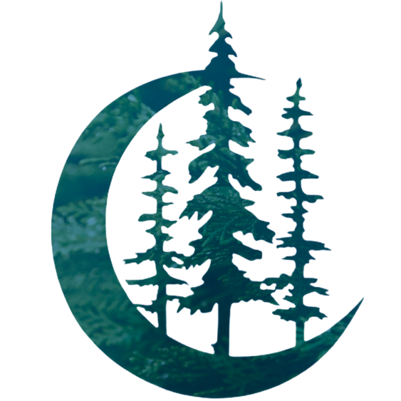 Somatic Therapy & Trauma Healing | Cedar Mathias