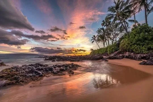 Sunset photograph of tropical shoreline, sand, and palm trees