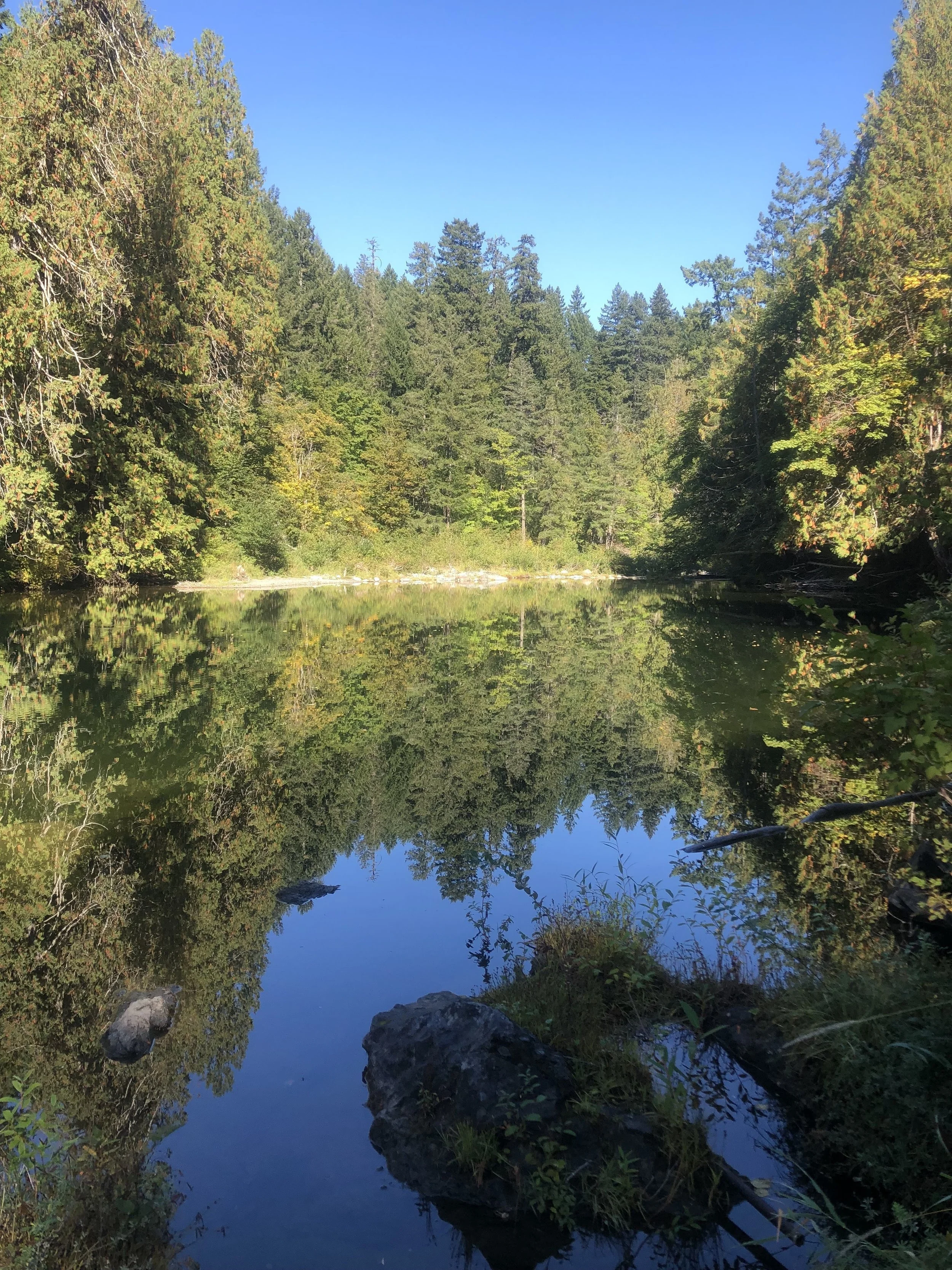 Beltane Retreat | Celebrating Renewal and the Sacred Feminine—Join Us ...
