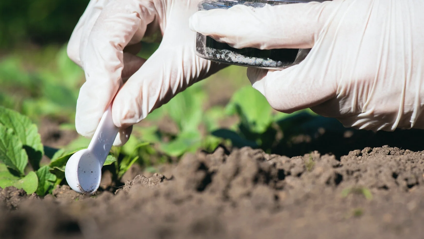 soil.jpg