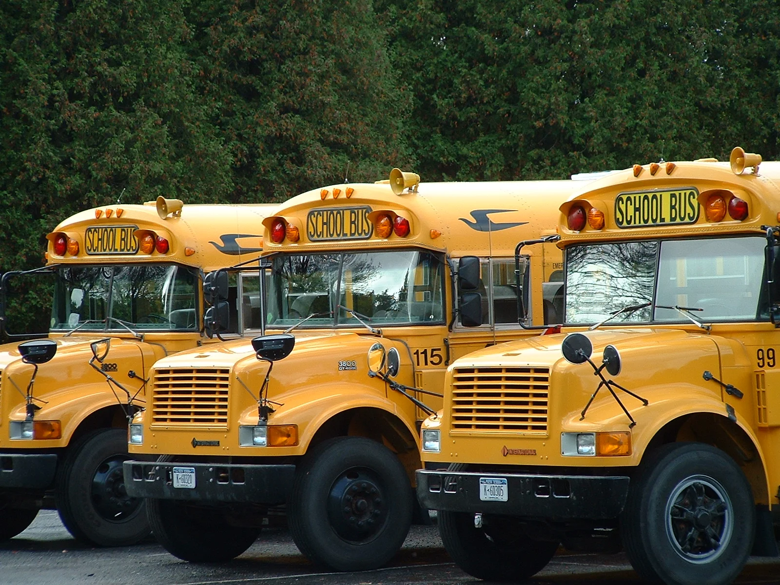 field-trip-1512425.jpg
