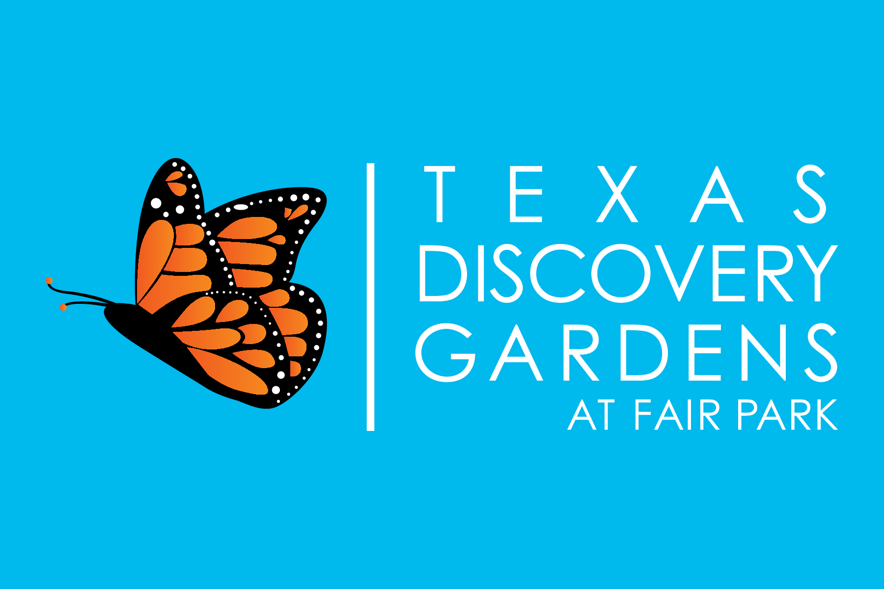 logo-1.png