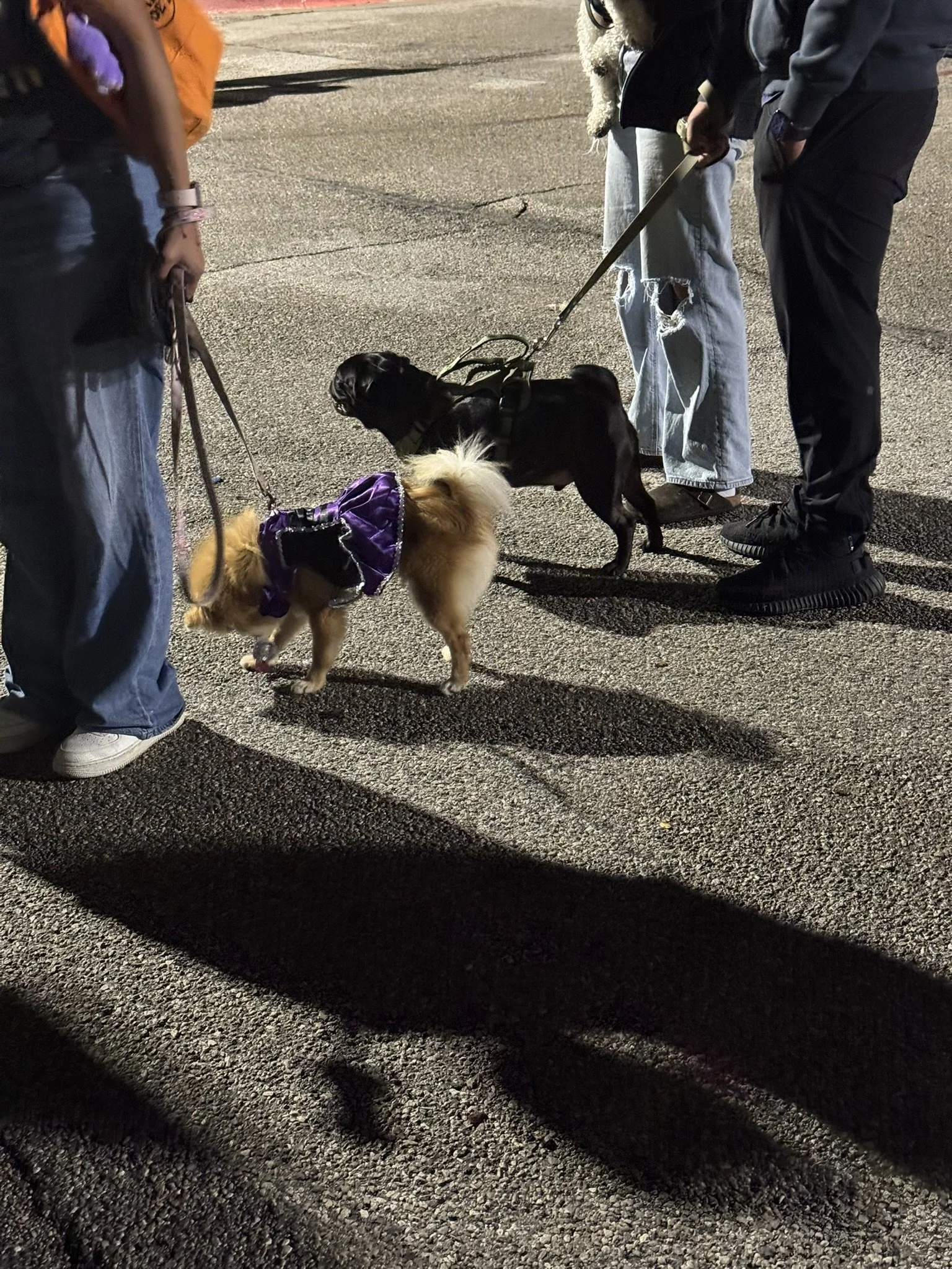 Dad's Club Trunk or Treat (66).JPEG