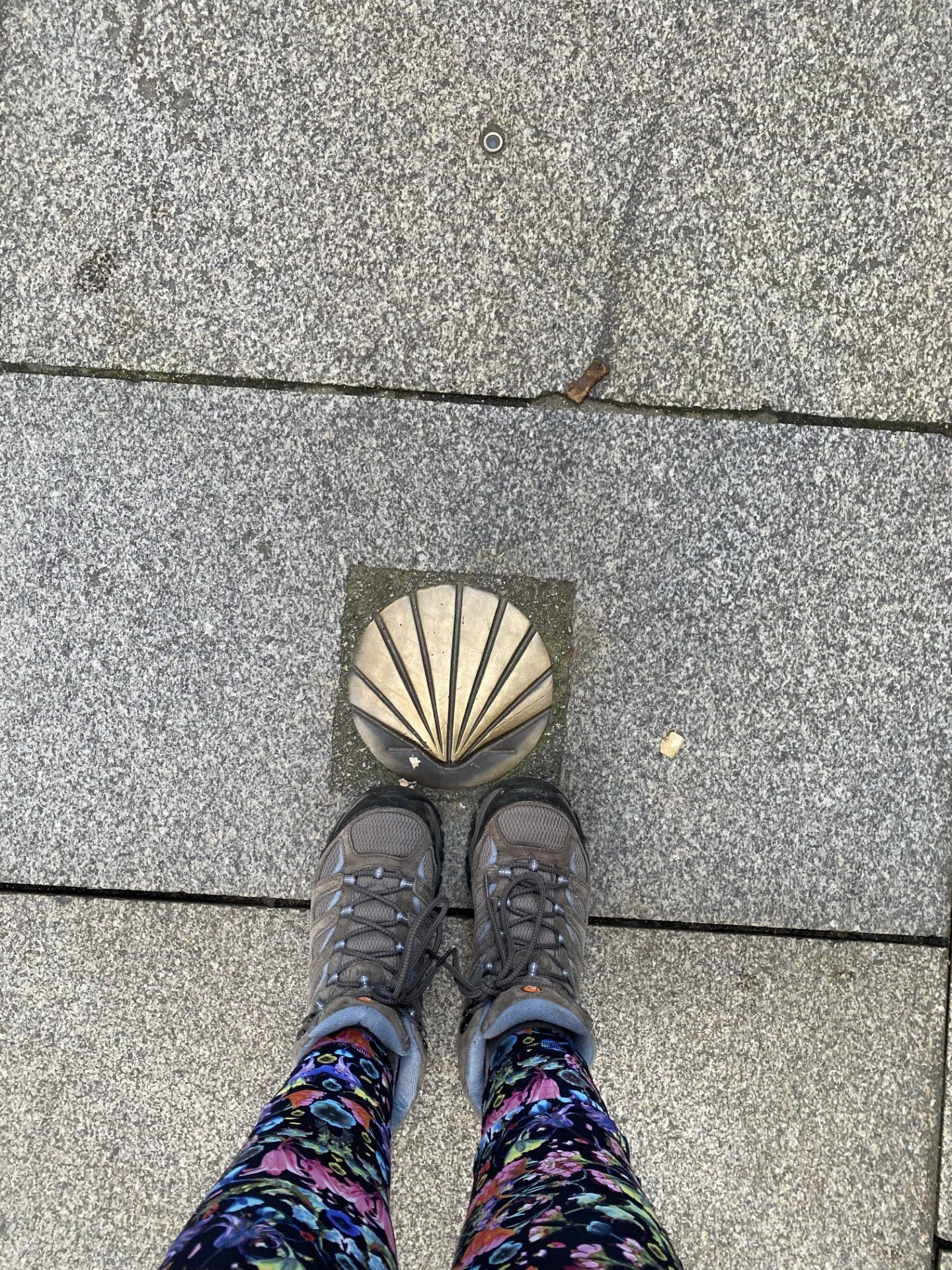 Camino de Santiago  (4).jpg