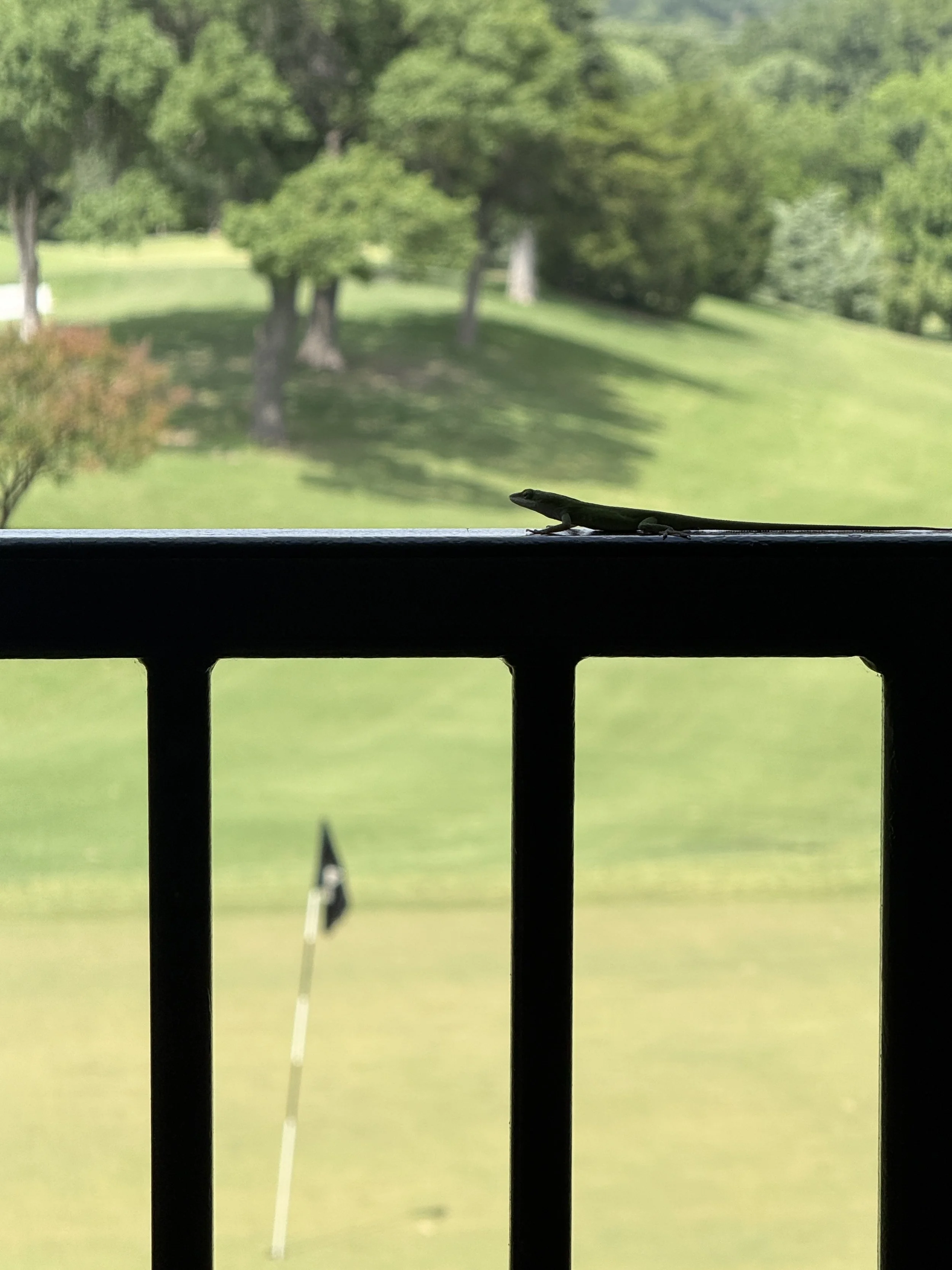 SCS Golf Tourn 2026 (21).JPG