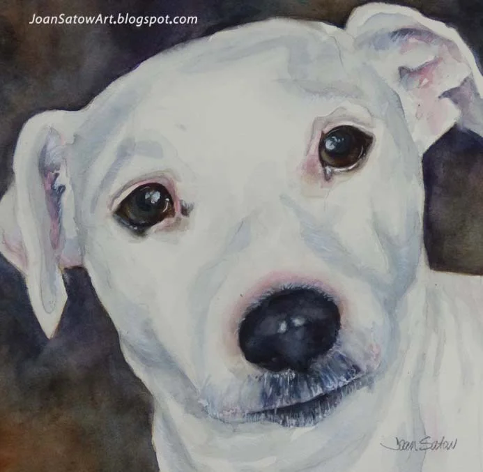 185_Miles_Dog Portait 2.jpg