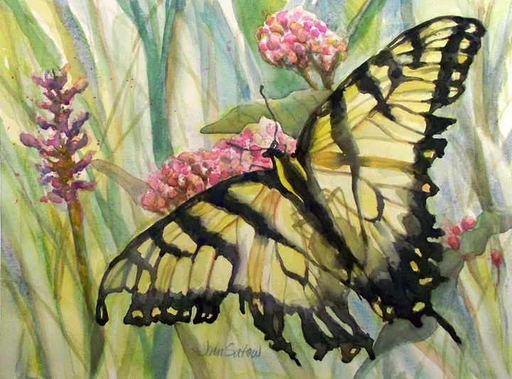12_Yellow Butterfly 2.jpg