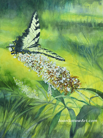 "Yellow Butterfly"