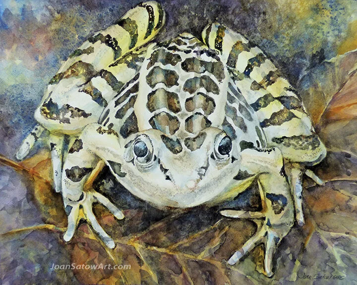 Frog