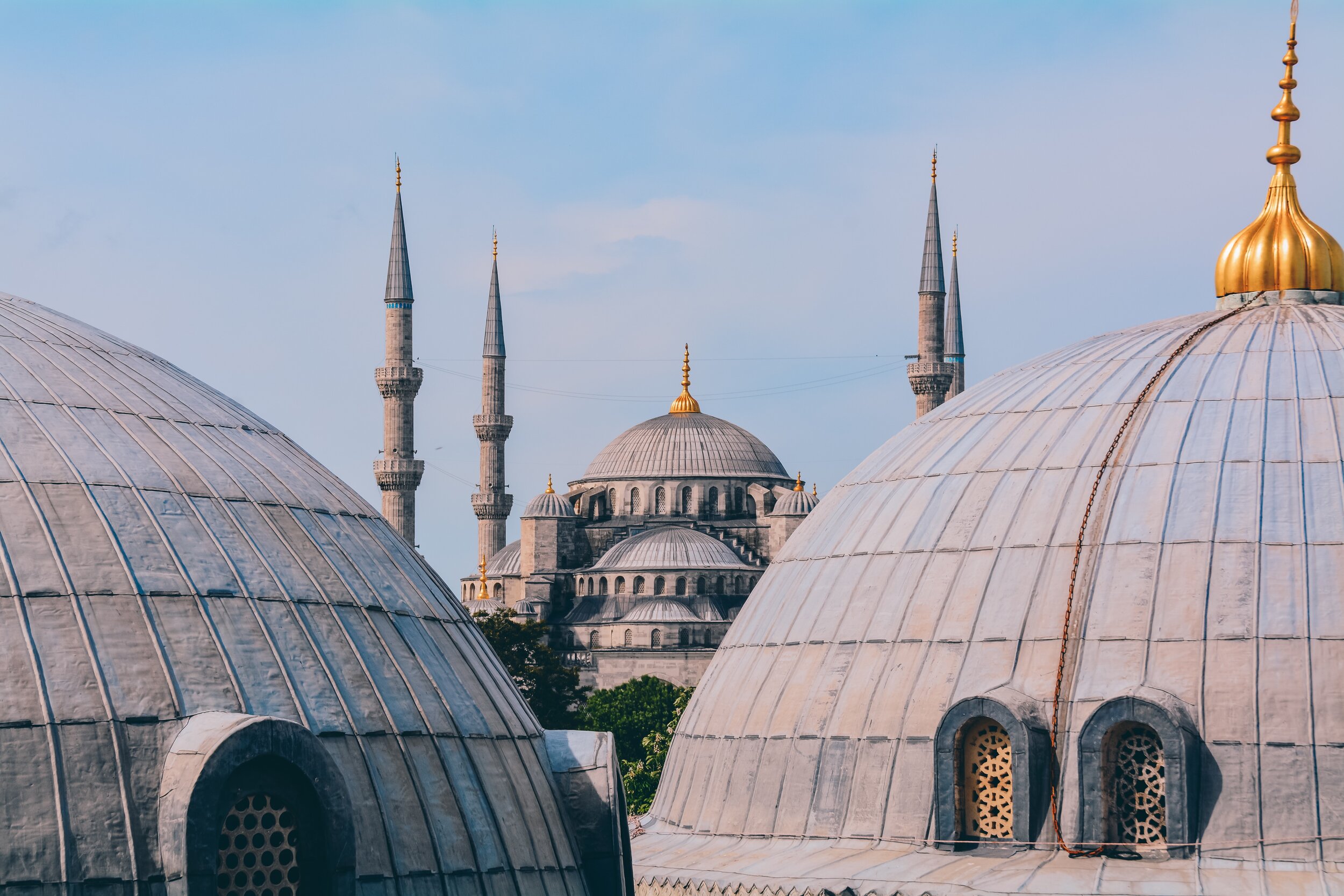 osman-koycu-zFgdRhy7gWQ-unsplash.jpg