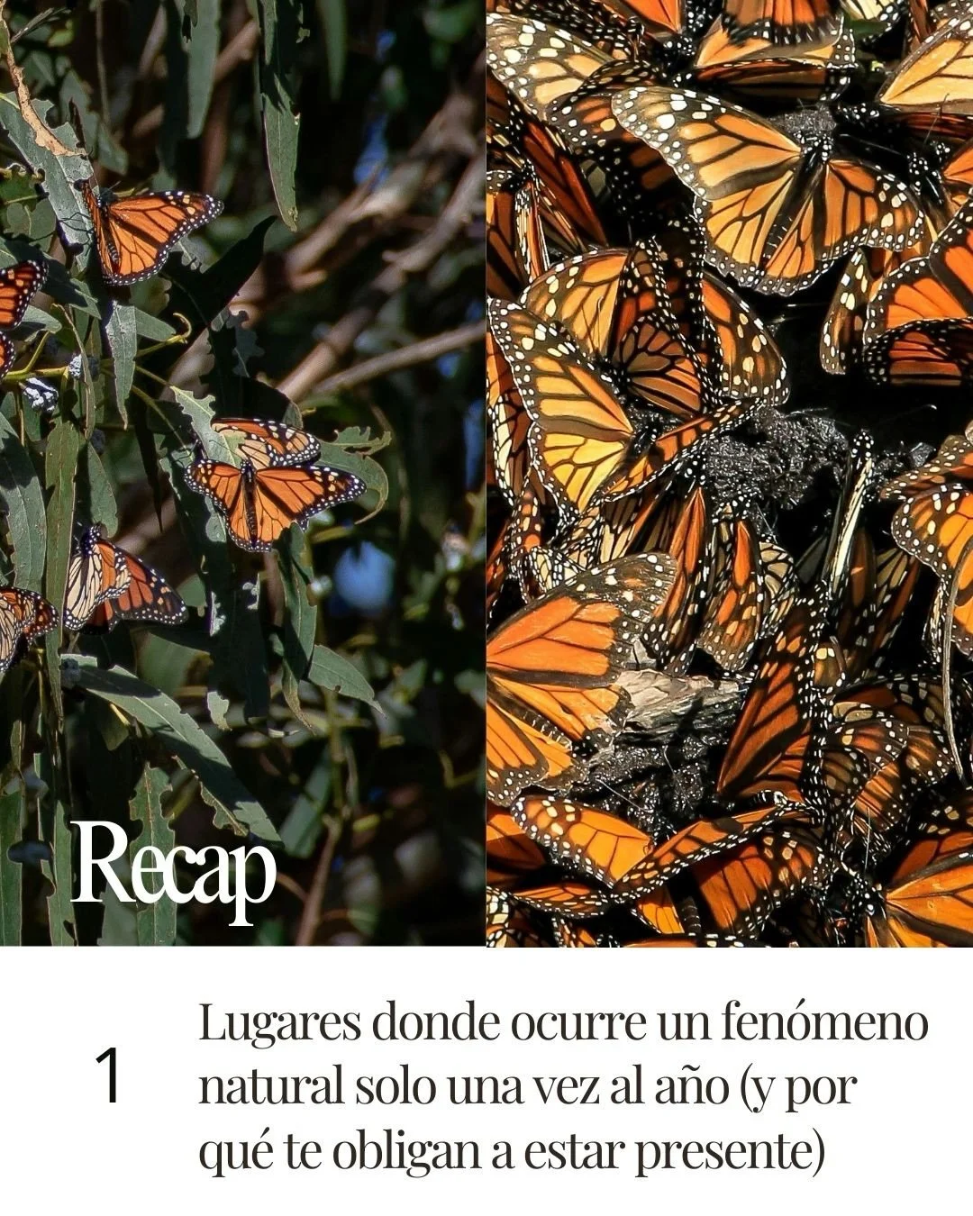 La naturaleza no es constante.
Tu energ&iacute;a tampoco.
Tu estilo, curiosamente, s&iacute; deber&iacute;a serlo.

En los tres art&iacute;culos de la semana pasada en speedmic.com exploramos esa idea desde &aacute;ngulos distintos:

1. Lugares que c