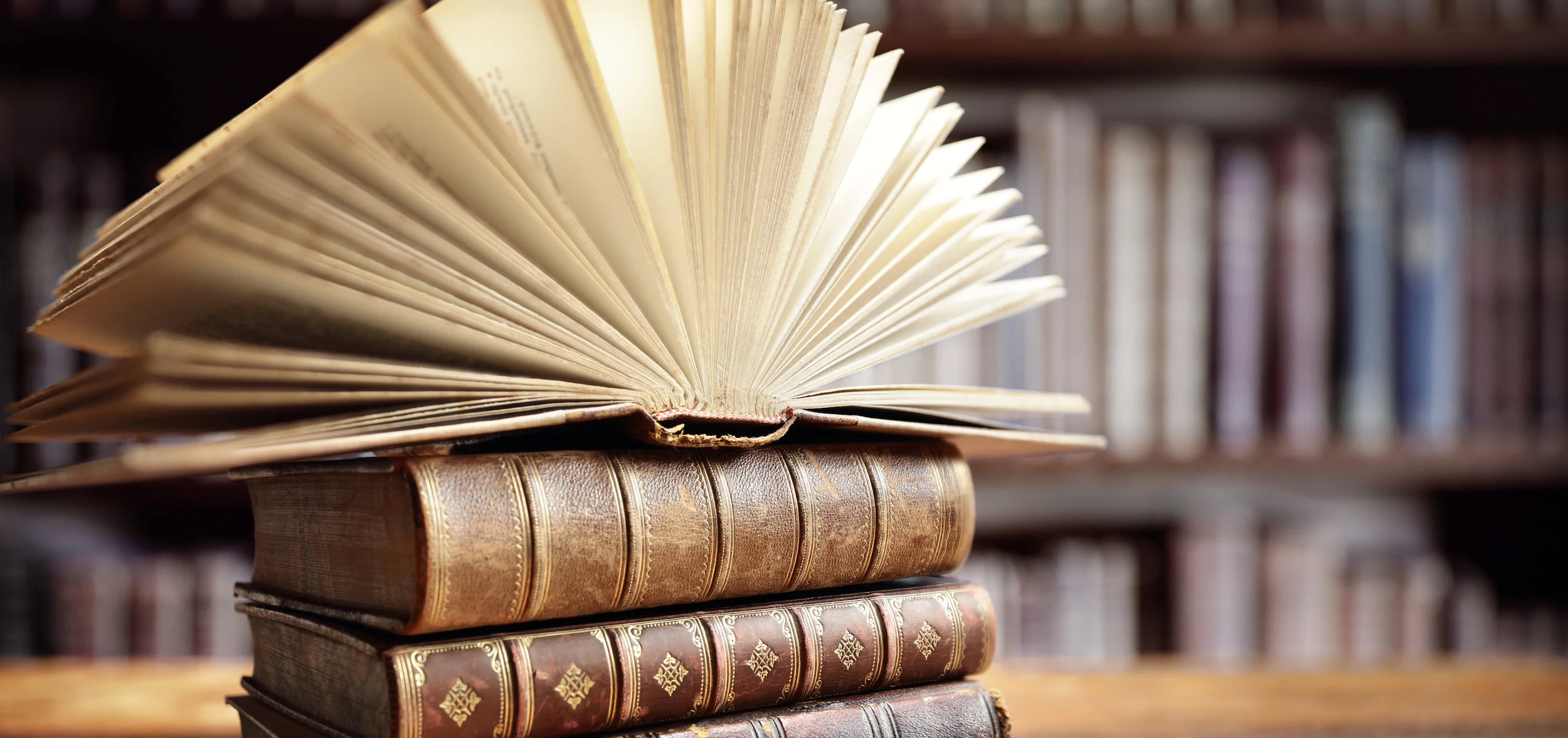 Books in Library.jpg