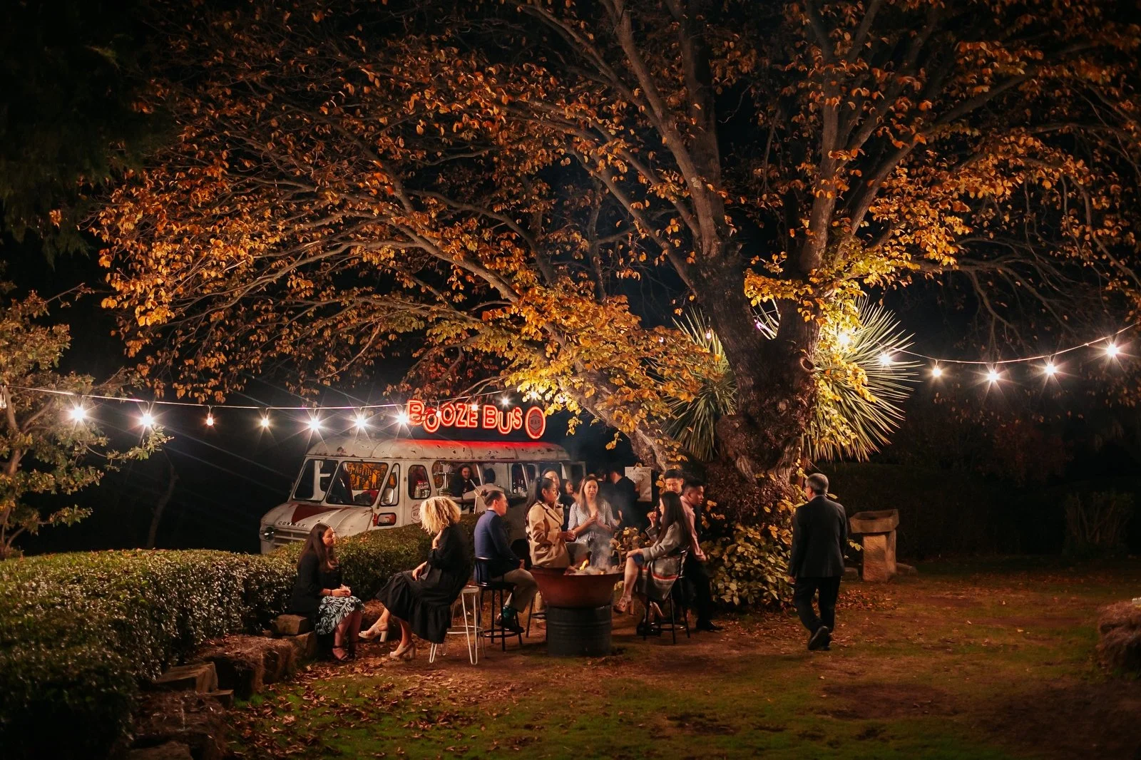Ratho Farm dark tree