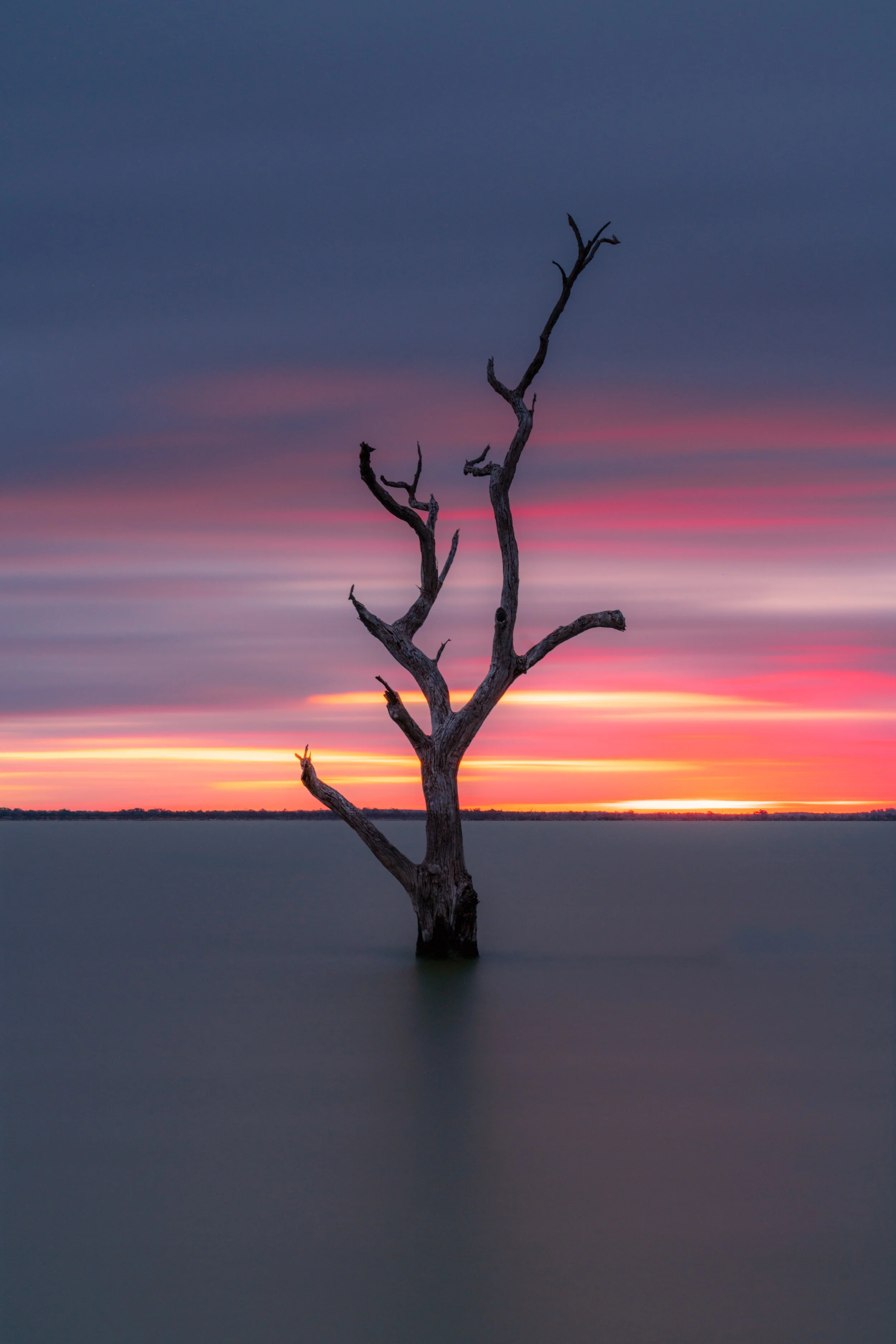 _DSC5977-Edit-2.jpg