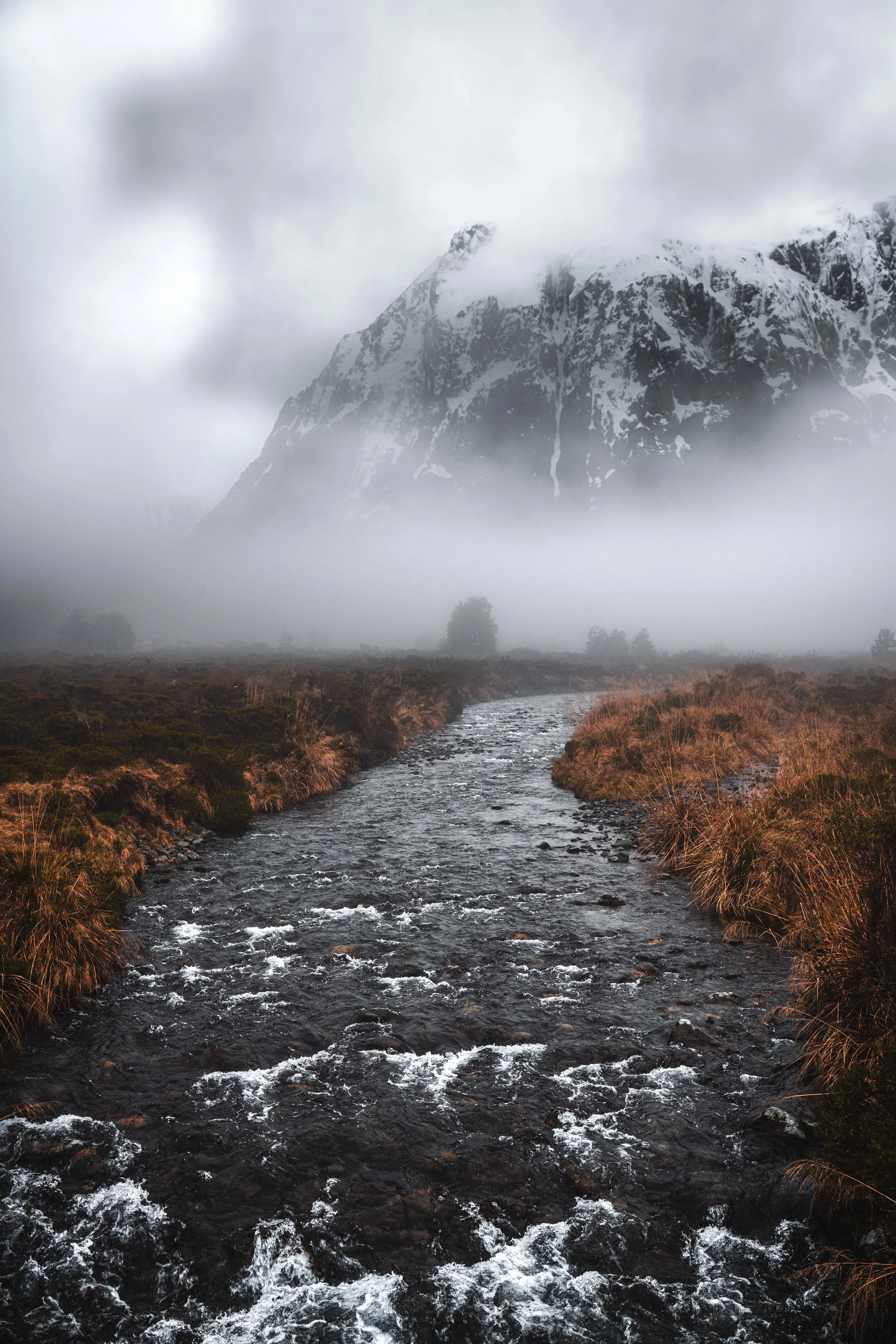 _DSC9250-Edit-2.jpg
