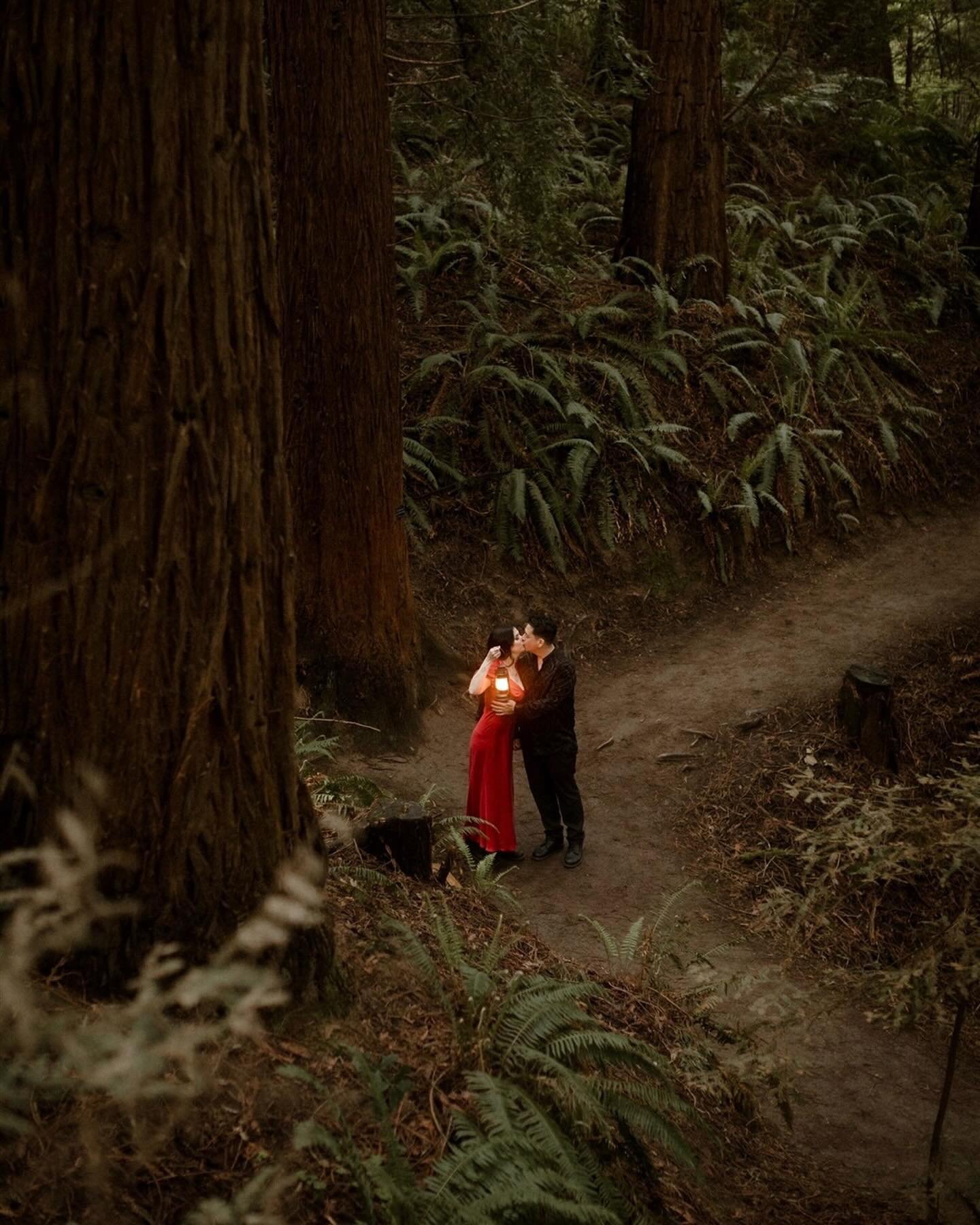 Tara, Kimo &amp; the magic of Hoyt Arboretum🌲✨🕯️✨&hearts;️

These two are such a vibe and were the most amazing subjects in one of my favorite forests in the city. I will never tire of taking photos amongst the stunning redwood trees and soaking up