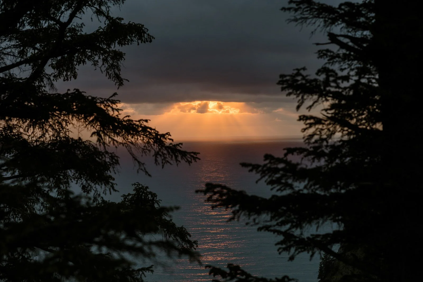 Oregon-Coast-Arch-Cape-Elopement-775_websize.jpg