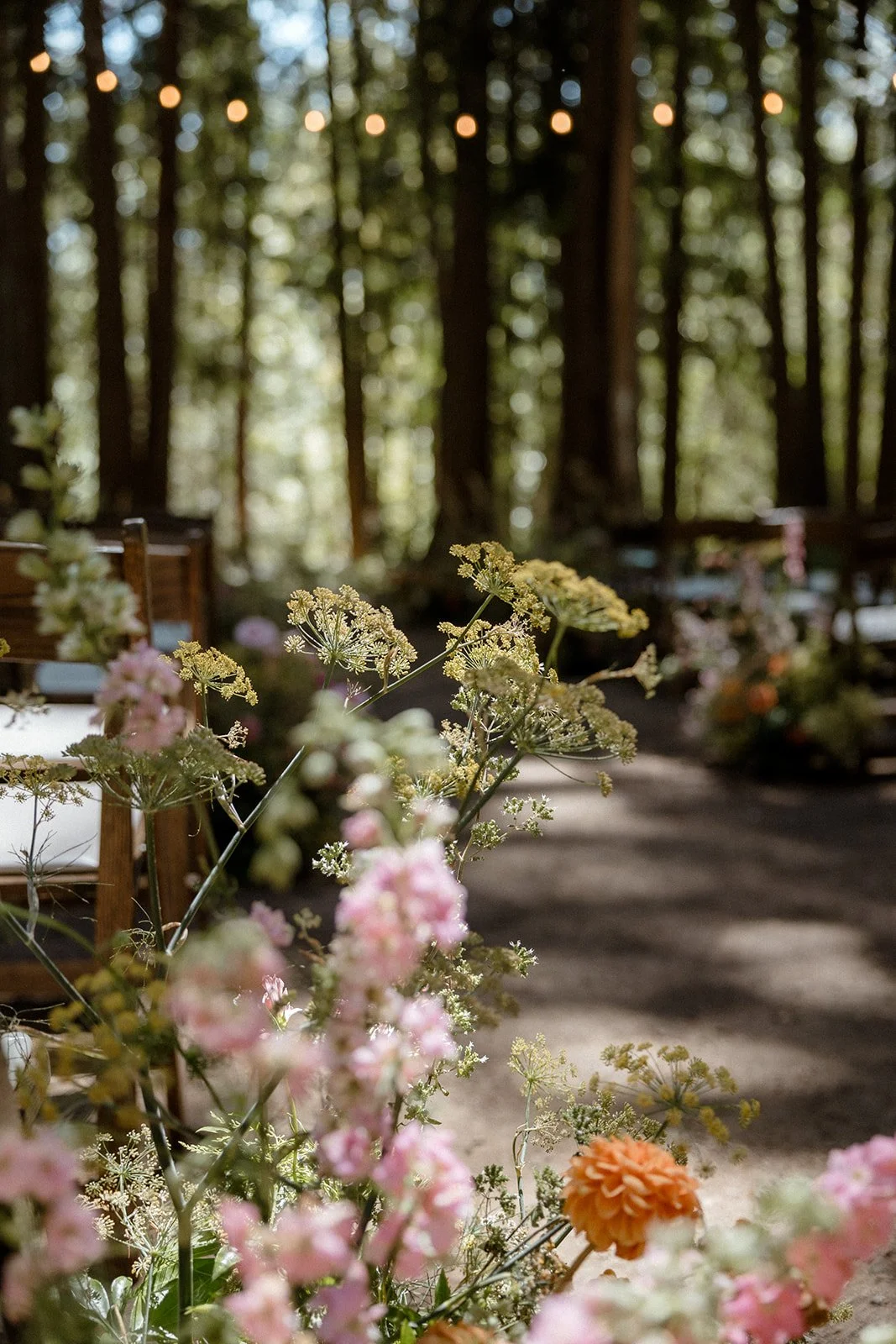 Madison-David-Cedar-Vale-Wedding-2_websize.jpg