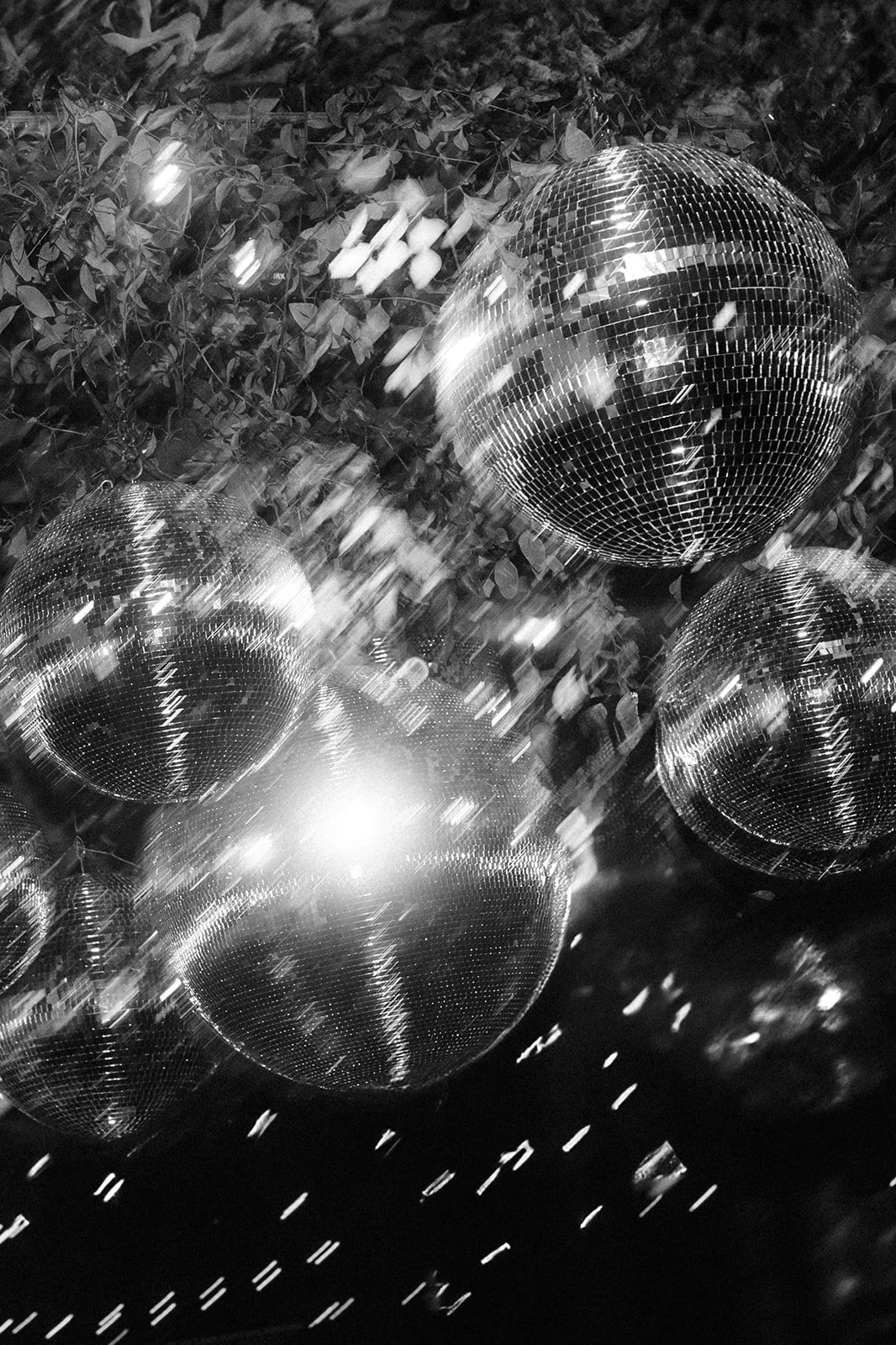 Disco-1_websize.jpg