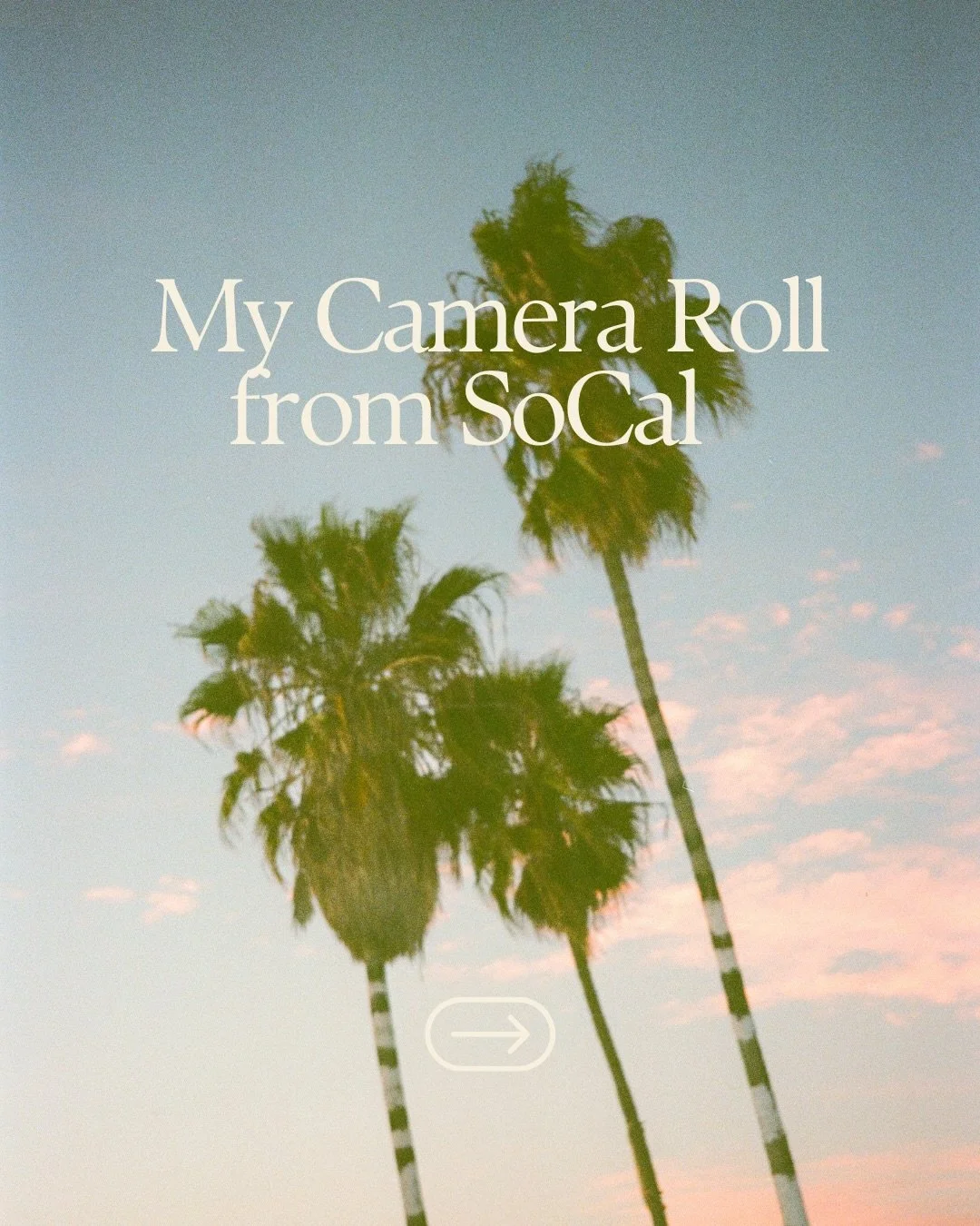 California Dreamin&rsquo; 🌴✨💕 A vibey photo dump of SoCal moments - yummy vegan foodie finds, artisan shopping, local exploring and always orange wine. 🧡 A look behind the scenes of when I&rsquo;m not documenting a wedding, but documenting life in