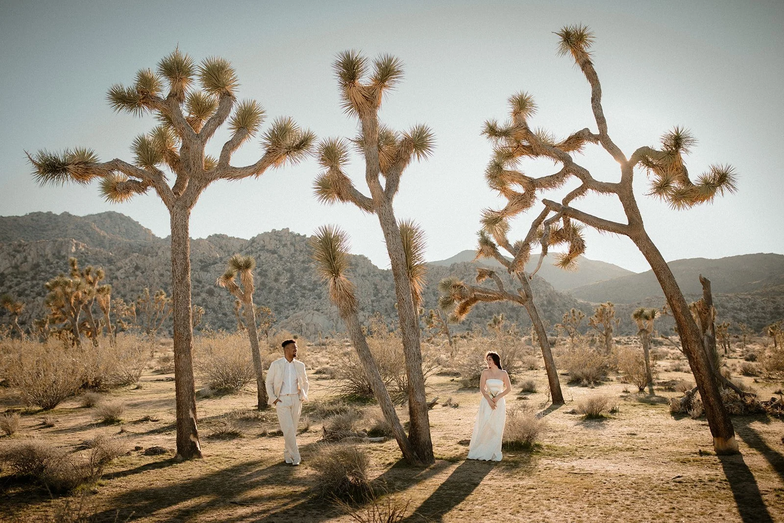 Brandon-Mimi-Joshua-Tree-Elopement-54_websize.jpg