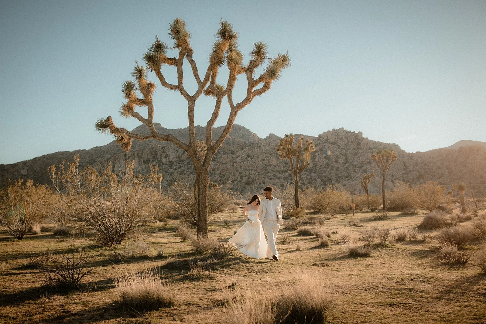 Brandon-Mimi-Joshua-Tree-Elopement-116_websize.jpg