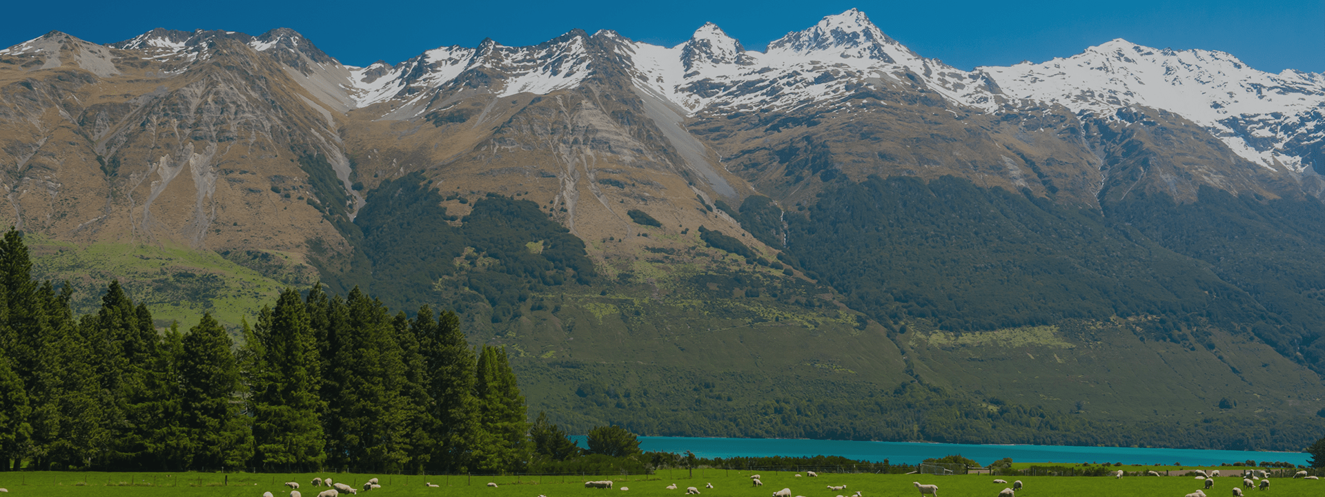 photo of iced capped mountains in new zealand .png