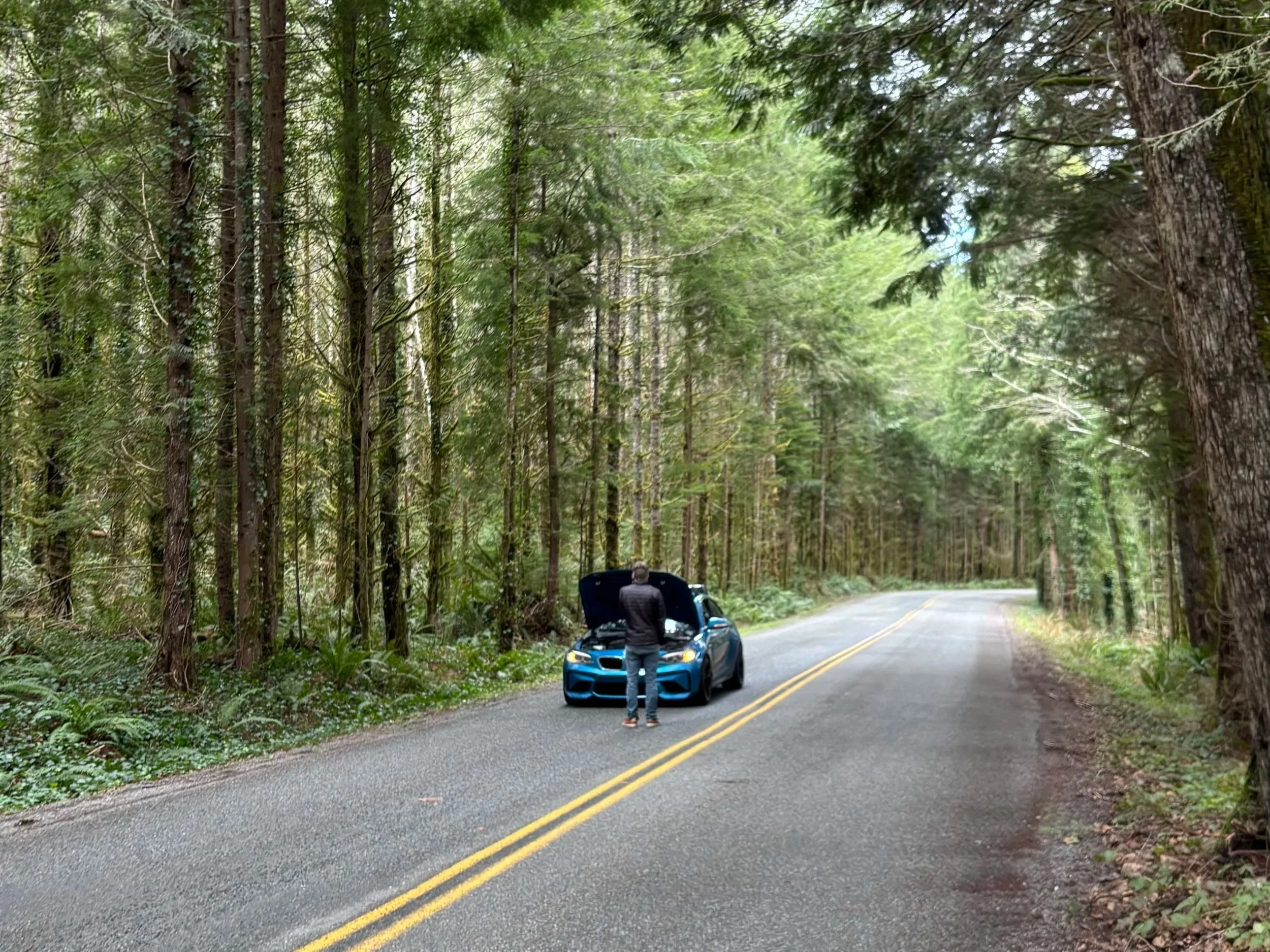 Sold, bought, and totaled. The M2 story (#102)